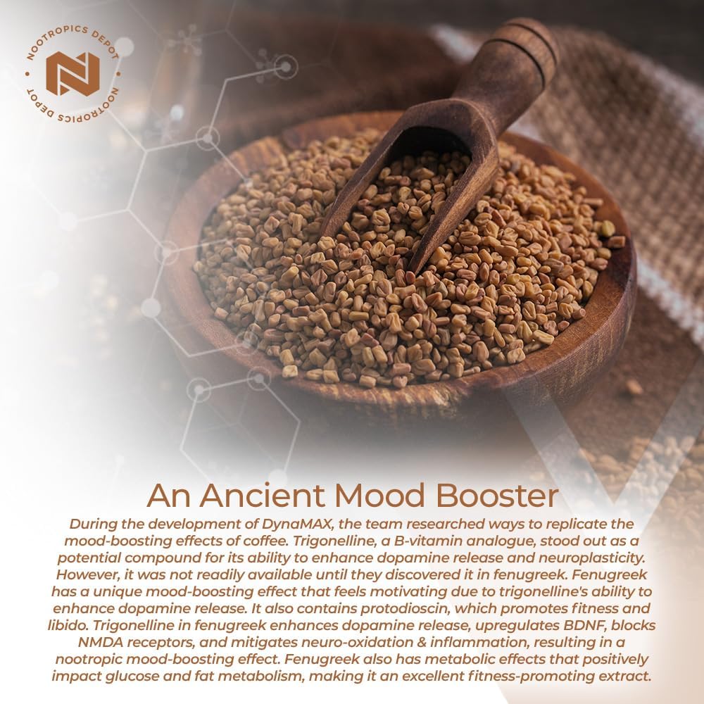 Nootropics Depot Fenugreek Extract Capsules (500mg, 60 capsules) - görsel 5