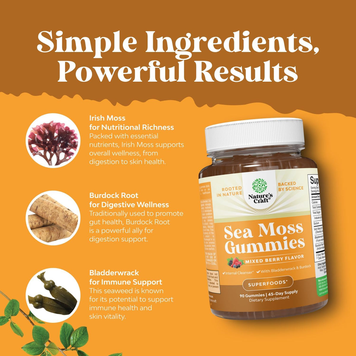 Natures Craft Irish Sea Moss Gummies for Women Men & Kids - Immune Support Supplement with Irish Sea Moss, Bladderwrack & Burdock Root - Detox Gummies for Body Cleanse - 90 Count - görsel 4