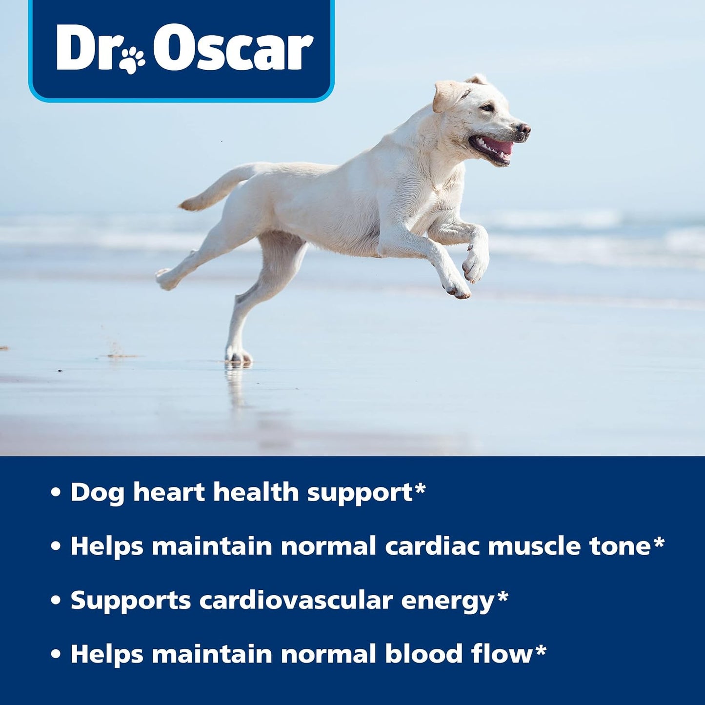 Dr. Oscar Taurine Supplement for Dogs – 120 Chewable Tablets with L-Carnitine - görsel 5