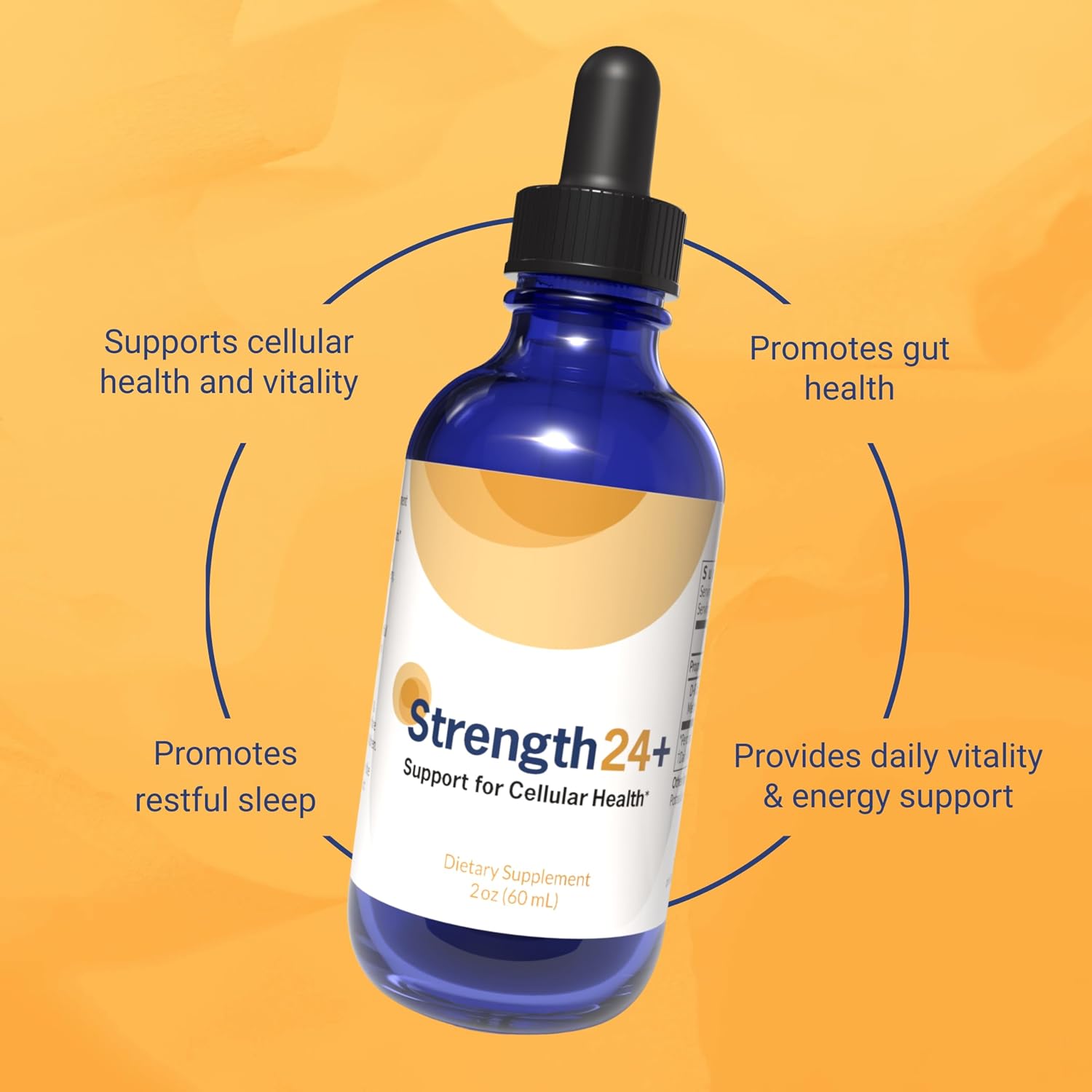 Strength24+ Vitality Drops - Bladder Control, Cellular Health & Energy Support, 60 Servings (1 Month Supply) - görsel 4