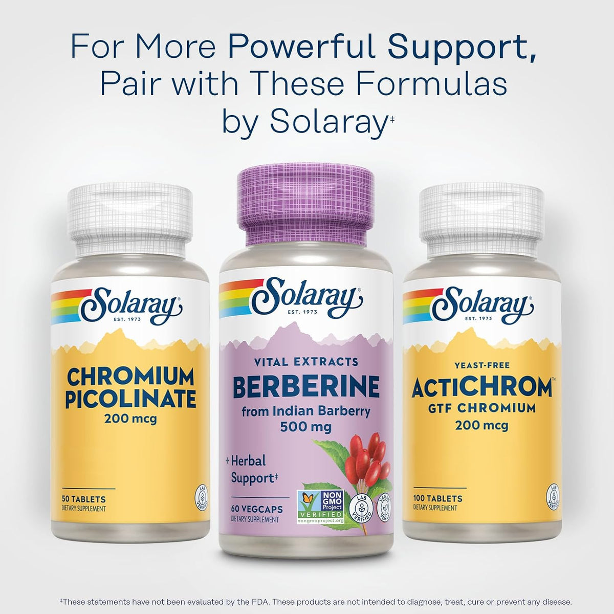 SOLARAY Berberine 500mg - Berberine Food Supplement for Healthy Lifestyle - with Berberine HCl from Indian Barberry - Vegan, Non-GMO - 60 VegCaps - görsel 6