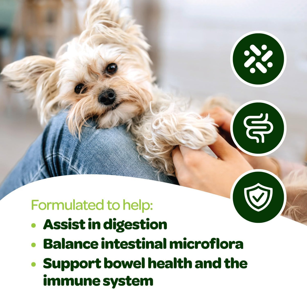 Ready Pet Go! Probiotic Chews for Dogs' Gut Health - Prebiotics and Digestive Enzymes, NASC Certified, 60 Chews - görsel 5