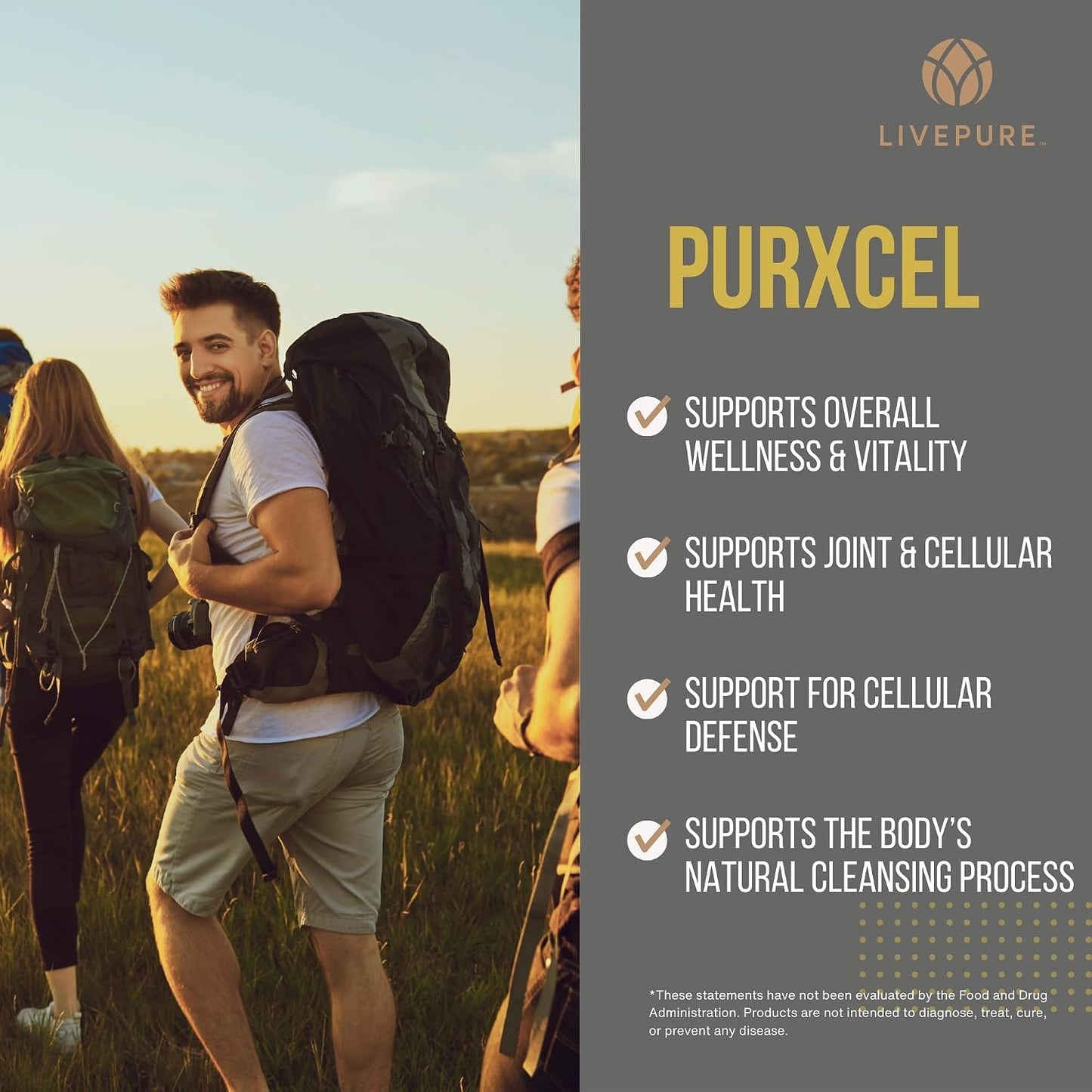PURE PurXcel Antioxidant Supplement, 30 Capsules - görsel 3