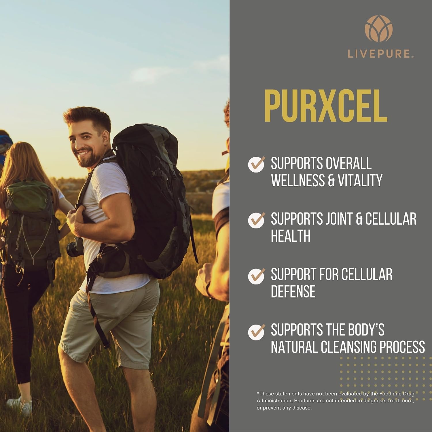 PURE PurXcel Antioxidant Supplement, 30 Capsules - görsel 3