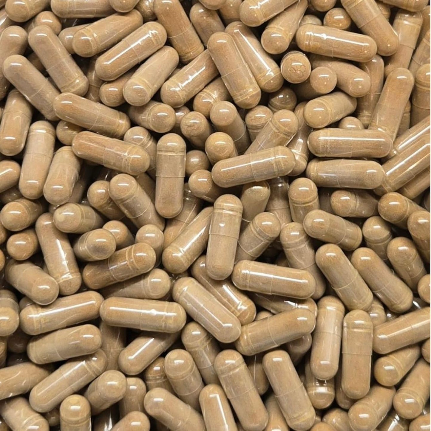 White Mulberry Leaf Extract 4:1 Capsules (500mg Each) - 480 - görsel 3