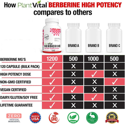 Plantvital Berberine 1200mg (per 2 Capsules) – Immune & Heart Support, 120 Capsules, Non-GM, Vegan, Gluten-free
