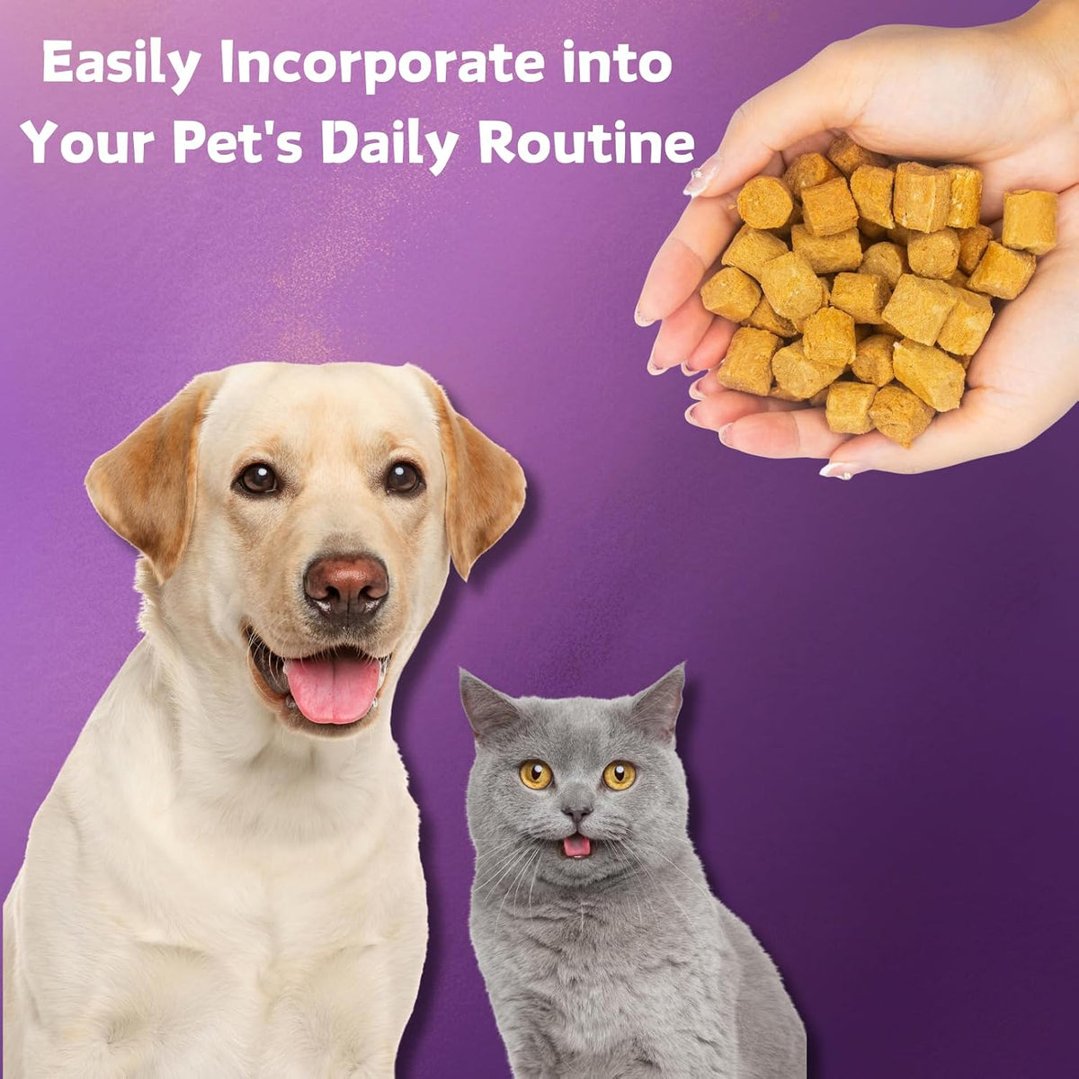 NATURE TARGET Probiotics for Dogs, 6 Billion CFUs, Freeze-Dried Dog Probiotics with Prebiotics & Enzymes for Digestive Health, Omega 3 for Skin & Immune Support, 180 Chews - görsel 9