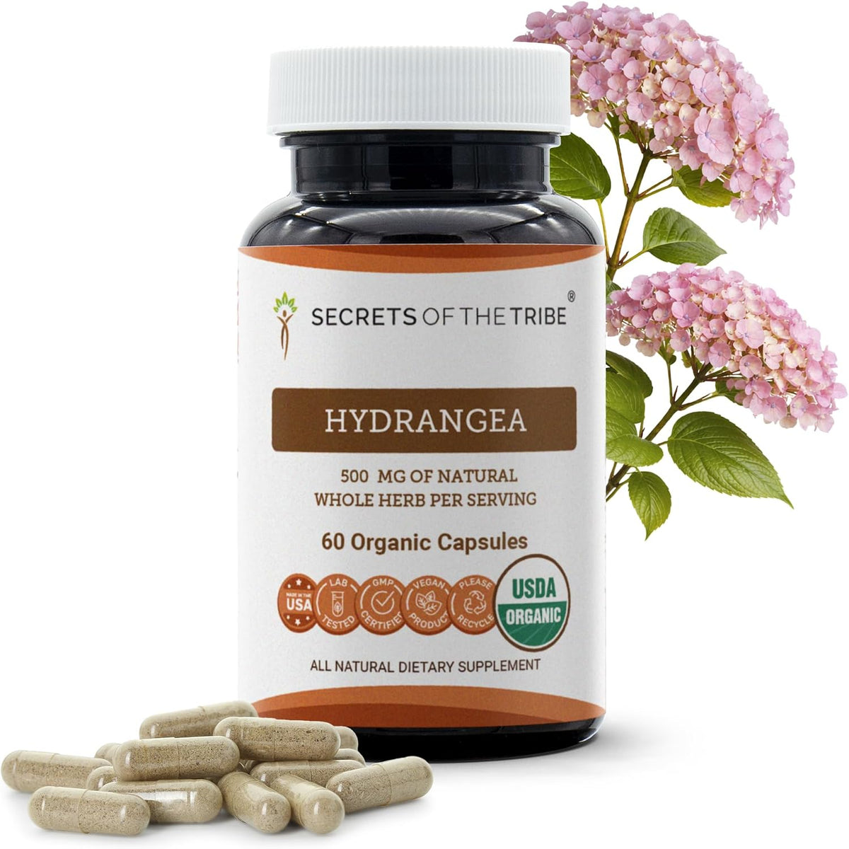 Secrets of the Tribe Hydrangea USDA Organic Capsules | Certified Organic Vegetarian Capsules, Herbal Food Supplement | Hydrangea arborescens Dried Root (60 Capsules) - görsel 1
