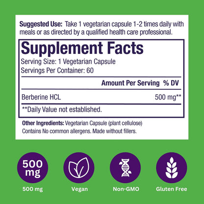 Paradise Herbs Berberine Extract, 500 mg, 60 Vegetarian Capsules