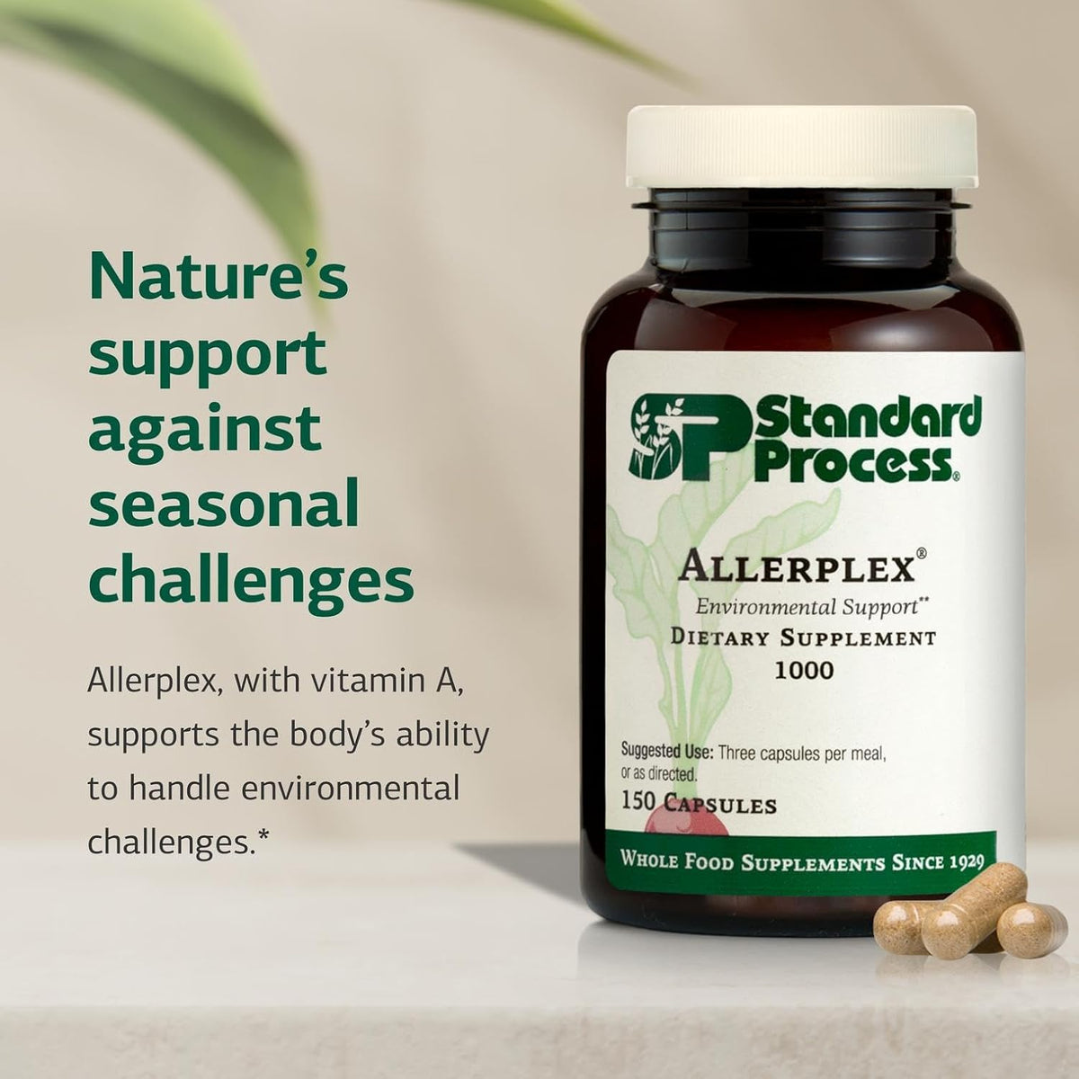 Standard Process Allerplex - Lung Health Support Supplement with Vitamin A & Pneumotrophin PMG - 150 Capsules - görsel 3