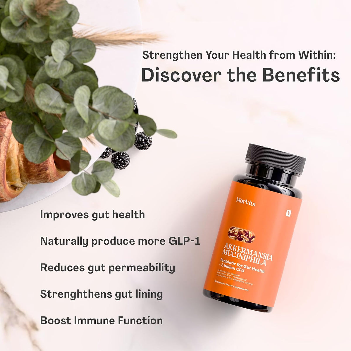 Morvits Akkermansia Probiotic with Prebiotic Fibre - 60 Capsules - görsel 2