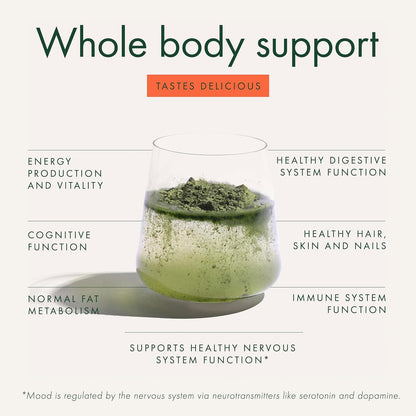 WelleCo The Super Elixir Daily Greens Powder – Blood Orange