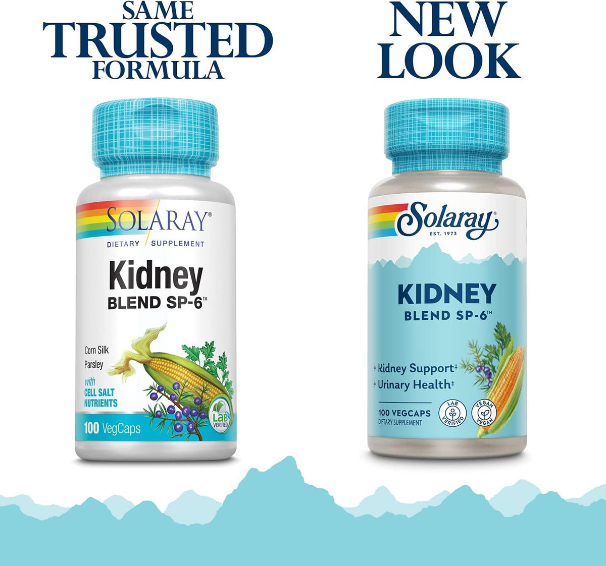 Solaray Kidney Blend SP-6 – Traditional Herbal Supplement for Women and Men, 100 Vegan Capsules - görsel 2
