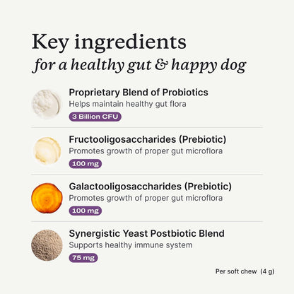PetLab Co. Probiotics for Dogs - Salmon Flavour - 30 Soft Chews (Pack of 2)