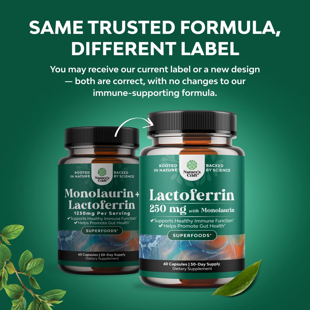 High Strength Lactoferrin & Monolaurin Supplement - 60 Vegetarian Capsules - görsel 2