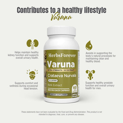 Varuna Nurvala Extract Capsules – Vegan & Gluten-free Bladder & Kidney Support, 800 mg (60 Capsules)