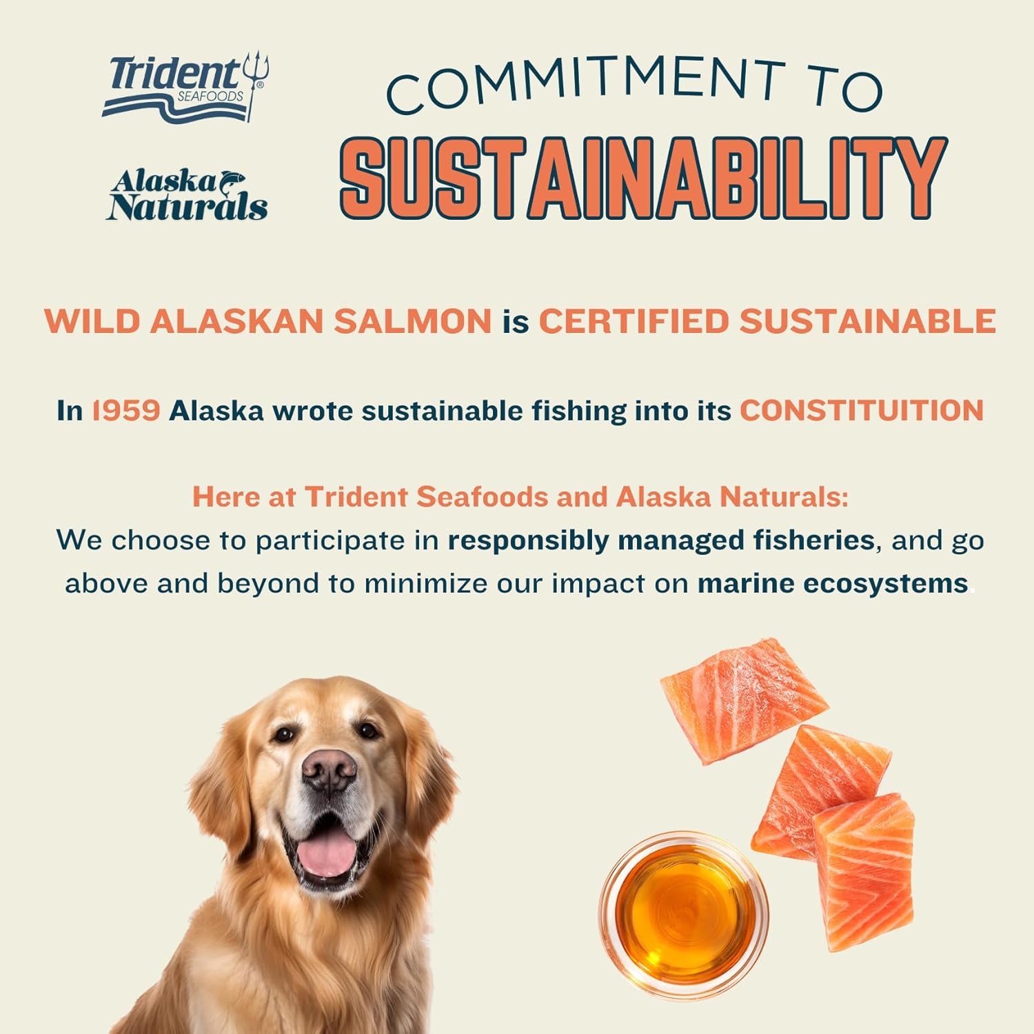 Alaska Naturals Wild Alaskan Salmon Fish Oil Supplement for Dogs Skin and Coat with EPA DHA Omega 3 Fatty Acids Liquid Food Topper 458 ml - görsel 6