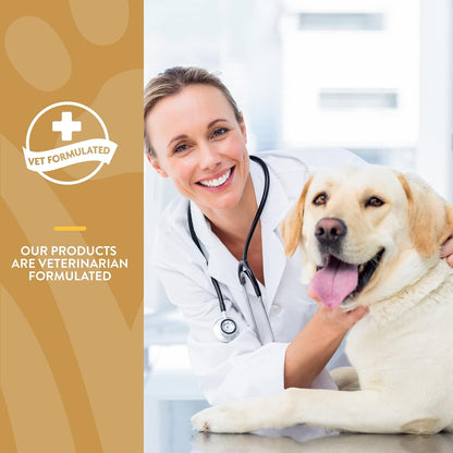NaturVet Scoopables Omega-Gold Anchovy Oil & Salmon Supplement For Dogs and Cats - Supports Healthy Skin & Coat Plus DHA, EPA, Omega-3, & Omega-6 - Anchovy & Salmon Flavoured For Dog and Cat | 312g Bag