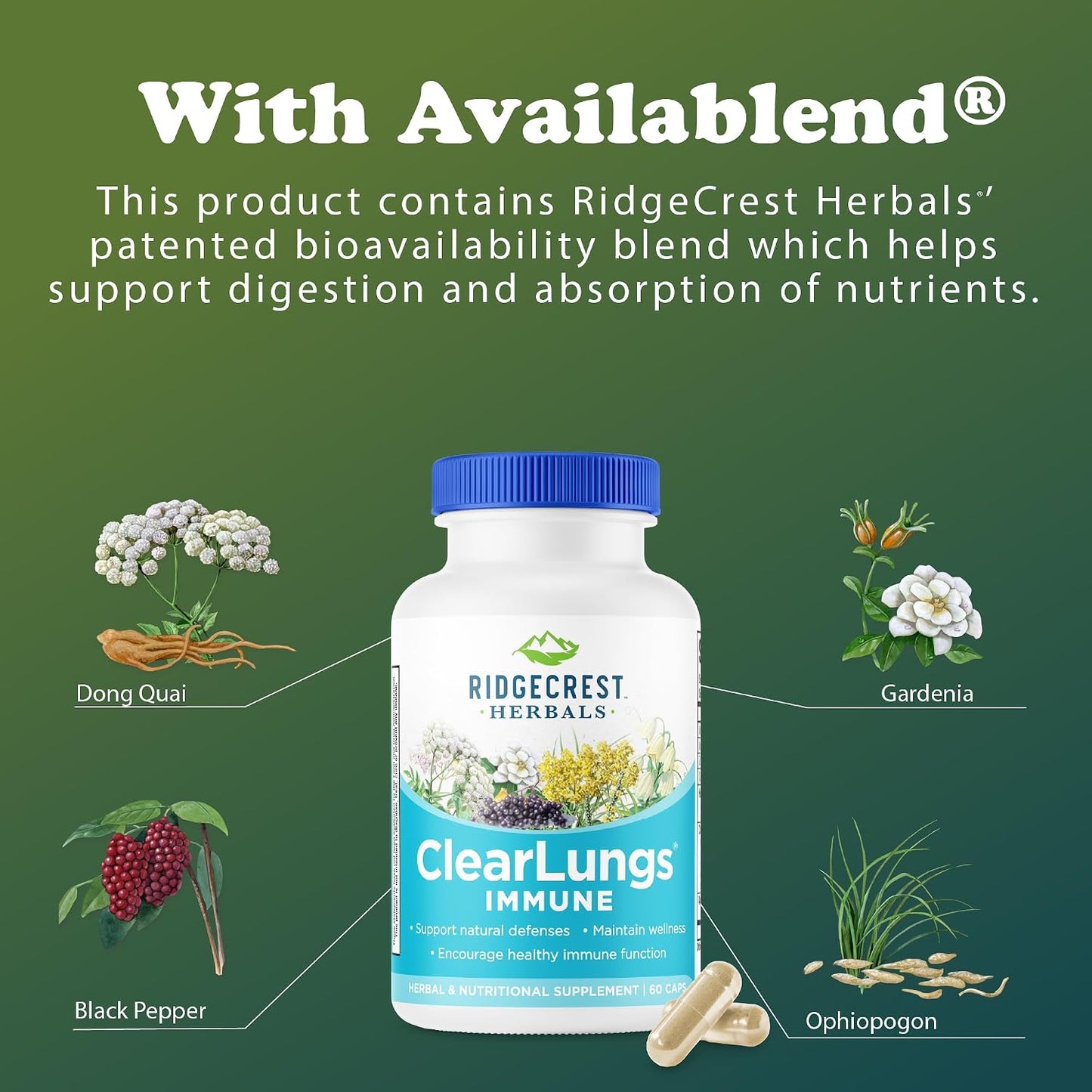 RidgeCrest Herbals ClearLungs Immune – Lung Support Supplement with Elderberry, Zinc, Vitamin C, and Herbal Immune Complex (60 Vegan Capsules) - görsel 7