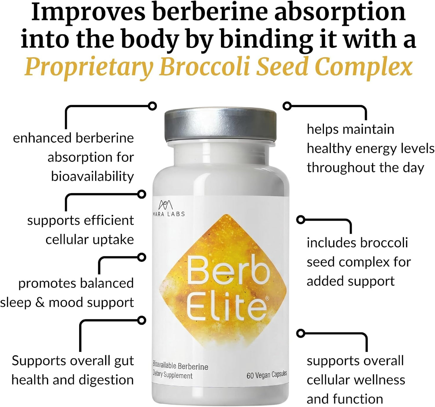 Mara Labs BerbElite - 350mg Berberine HCL with Broccoli Seed Complex - 60 Vegan Capsules - görsel 5