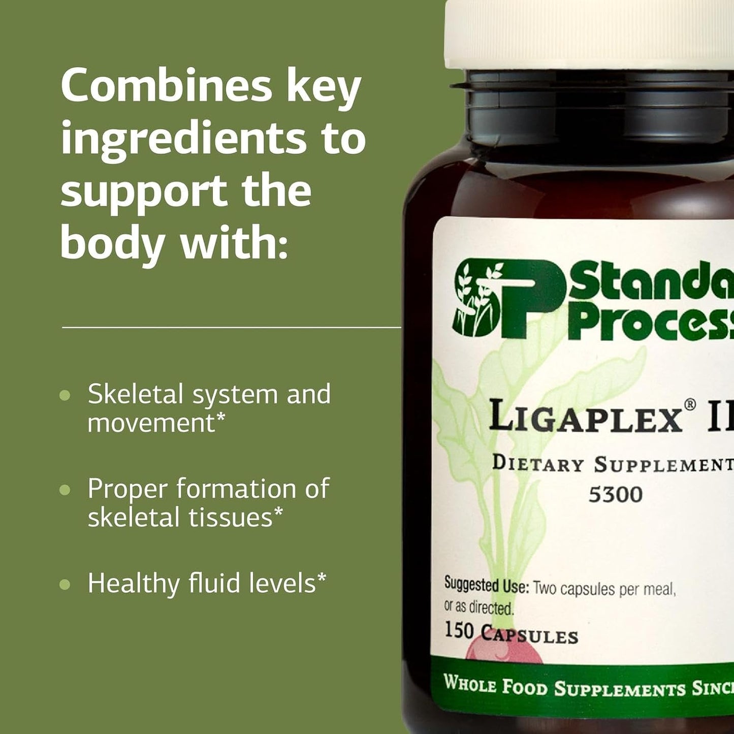 Standard Process Ligaplex II - Joint & Bone Support - Manganese Food Supplement with Vitamins B12, A & D - 150 Capsules - görsel 4