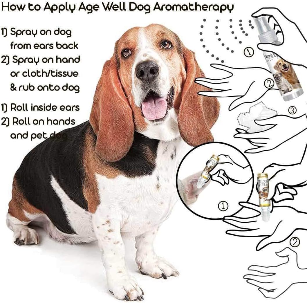 The Blissful Dog Basset Hound Age Well Spray Aromatherapy - görsel 4
