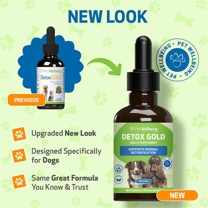 Pet Wellbeing Detox Gold for Dogs – Gentle Cleansing & Immune Support, Veterinary-Formulated Herbal Supplement (60 ml)