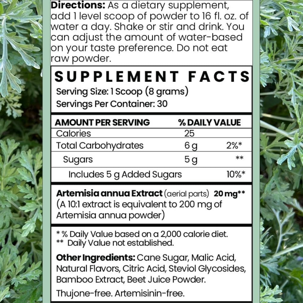 Artemisia Annua Sweet Wormwood Herbal Powder | Immune & Brain Support | Non-GMO, Vegan, Gluten-free (240g) - görsel 2