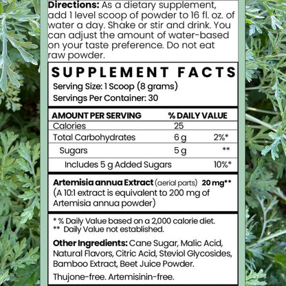 Artemisia Annua Sweet Wormwood Herbal Powder | Immune & Brain Support | Non-GMO, Vegan, Gluten-free (240g)