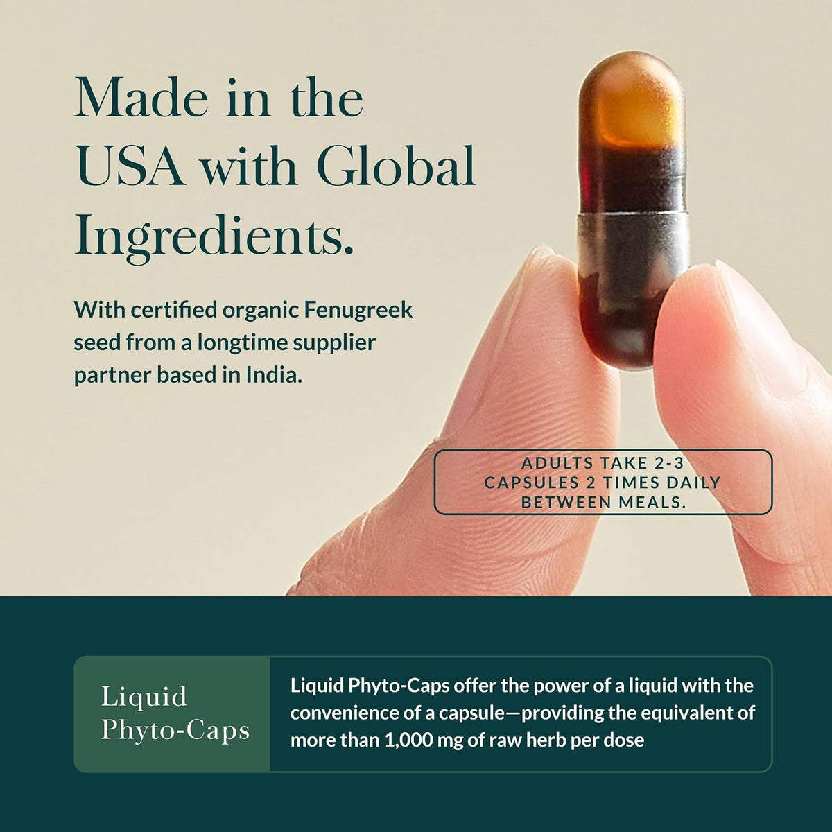 Gaia Herbs Fenugreek Seed - 60 Vegan Liquid Phyto-Capsules - görsel 4