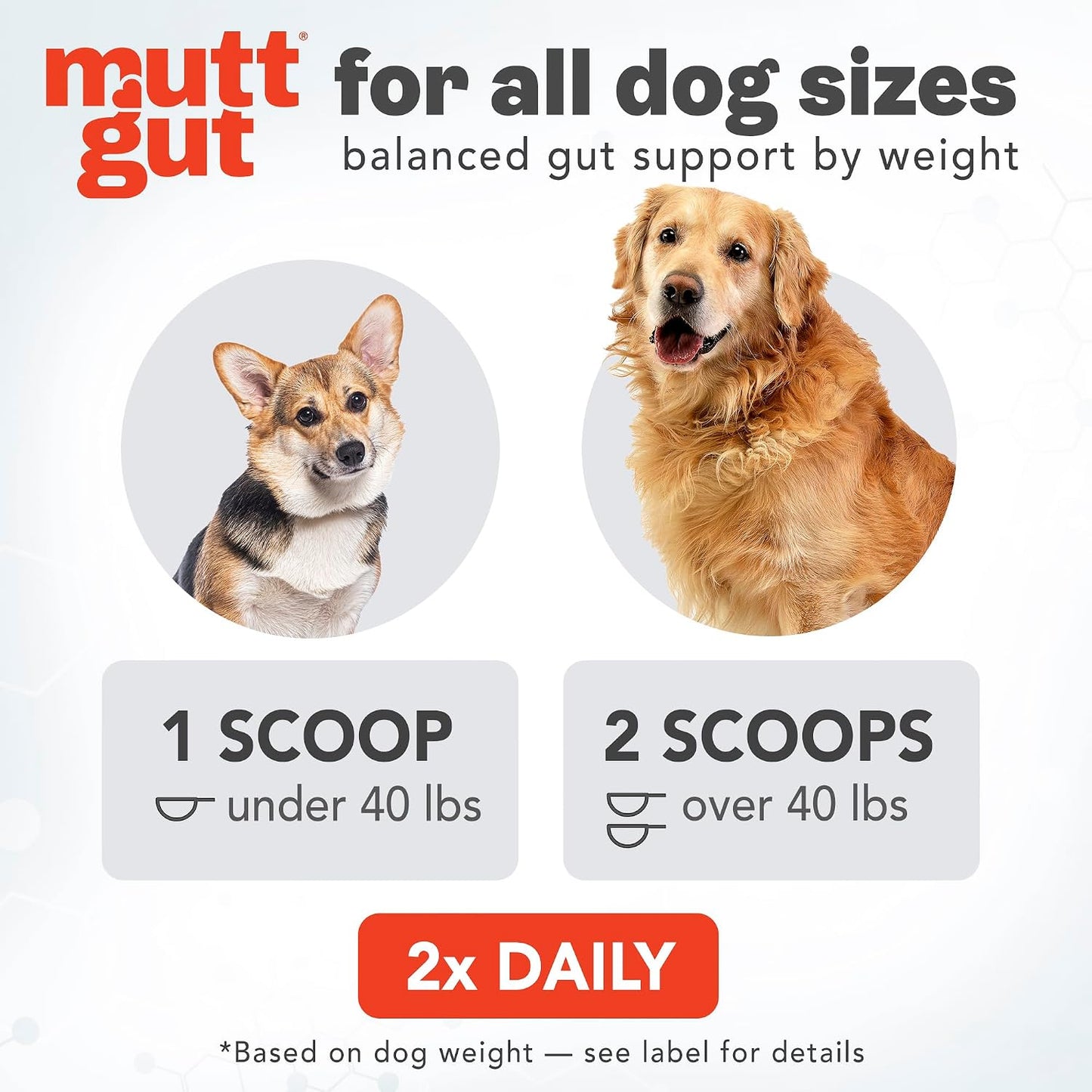 MUTTGUT All Natural 3-in-1 Probiotics for Dogs – Postbiotic Powder Supplement (120g) - görsel 5