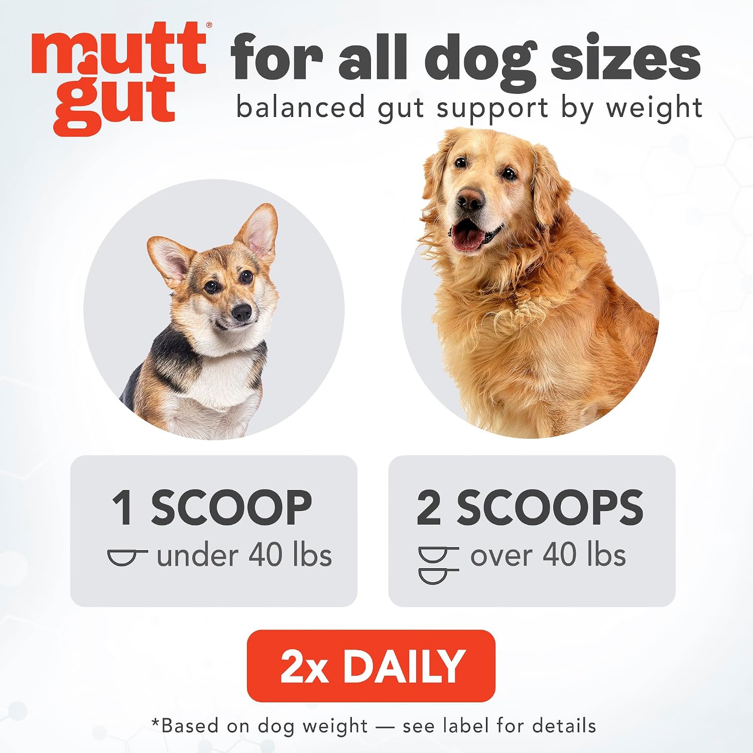 MUTTGUT All Natural 3-in-1 Probiotics for Dogs – Postbiotic Powder Supplement (120g) - görsel 5