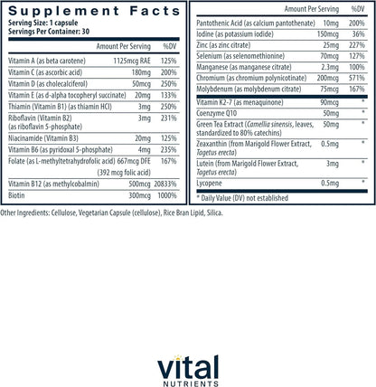 Vital Nutrients Once Daily Multivitamin – Vegan for Women and Men – 19 Vitamins + Antioxidants – 30 Capsules