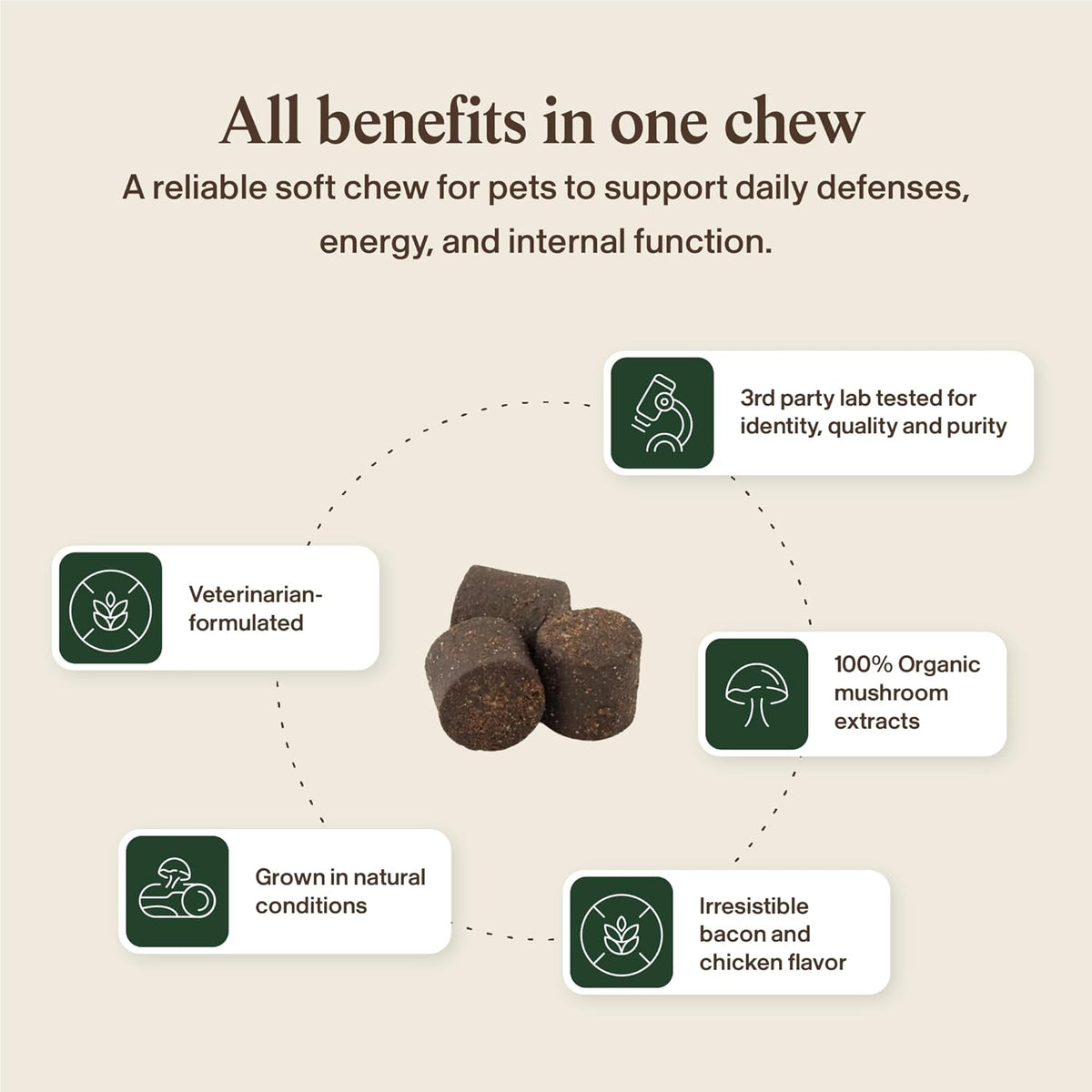 Real Mushroom Immune Pet Chews – Daily Digestive & Immune Support for Dogs and Cats (60 Chews) - görsel 8