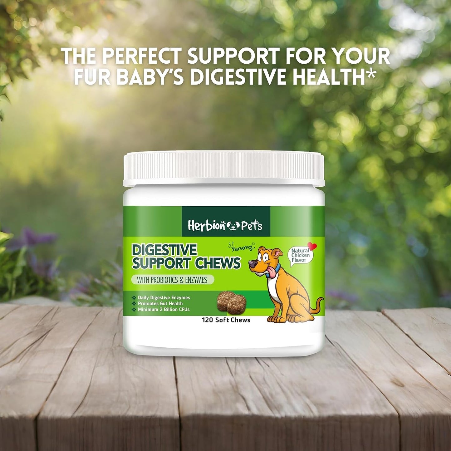 Herbion Pets Digestive Support Chews – Probiotics & Enzymes for Dogs, 120 Soft Chews - görsel 7