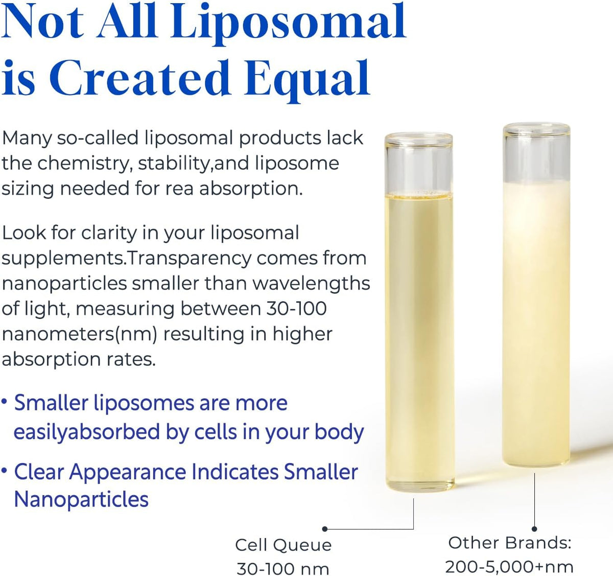 Cellqueue Methyl B Complex Liquid Drops - Liposomal B12, Folate, B6 with Methylated B Vitamins, TMG & Milk Thistle - görsel 5