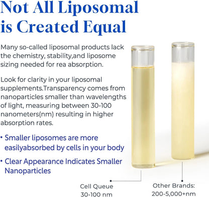 Cellqueue Methyl B Complex Liquid Drops - Liposomal B12, Folate, B6 with Methylated B Vitamins, TMG & Milk Thistle