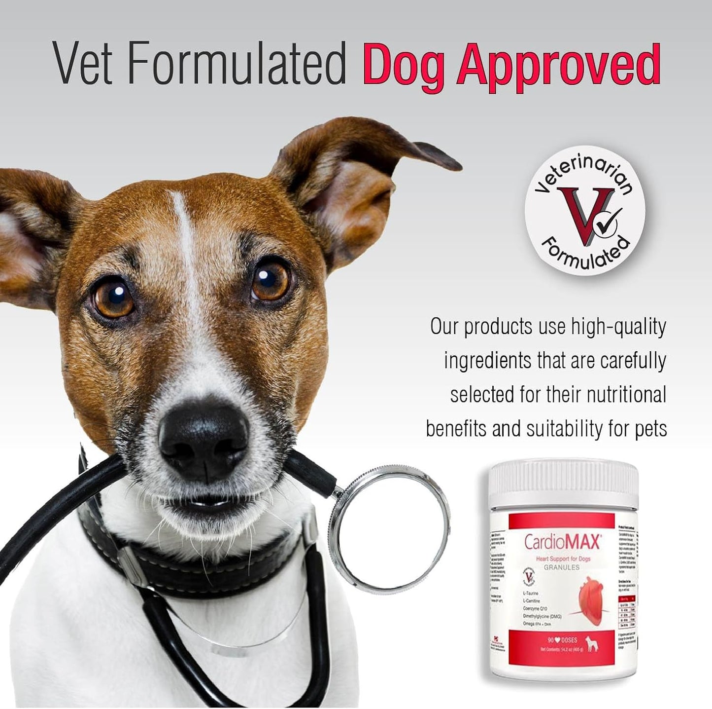 Heart Support Granules for Dogs – Vet-Formulated, Antioxidant-Rich: L-Taurine, L-Carnitine, EPA, DHA, CoQ10 – Supports Circulatory Strength, Cardiovascular Health, Heart Muscle Function – Made in the USA – 90 Doses - görsel 3