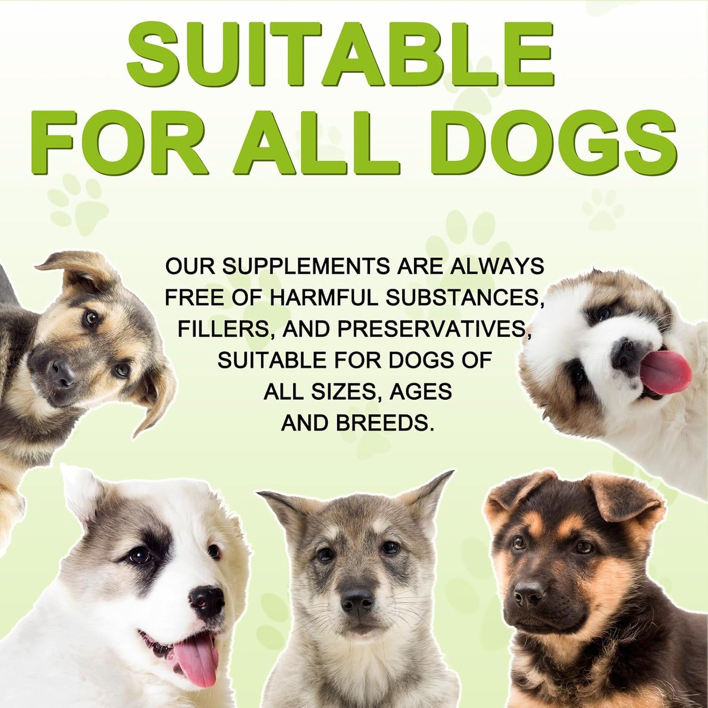 Milk Thistle for Dogs – 180 Chewable Tablets – Natural Liver Support for Pets - görsel 6