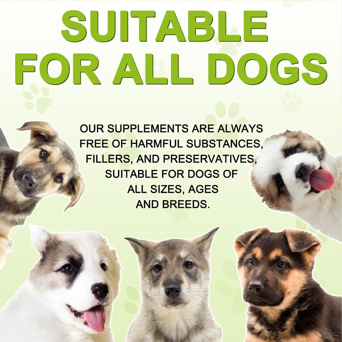 Milk Thistle for Dogs – 180 Chewable Tablets – Natural Liver Support for Pets - görsel 6