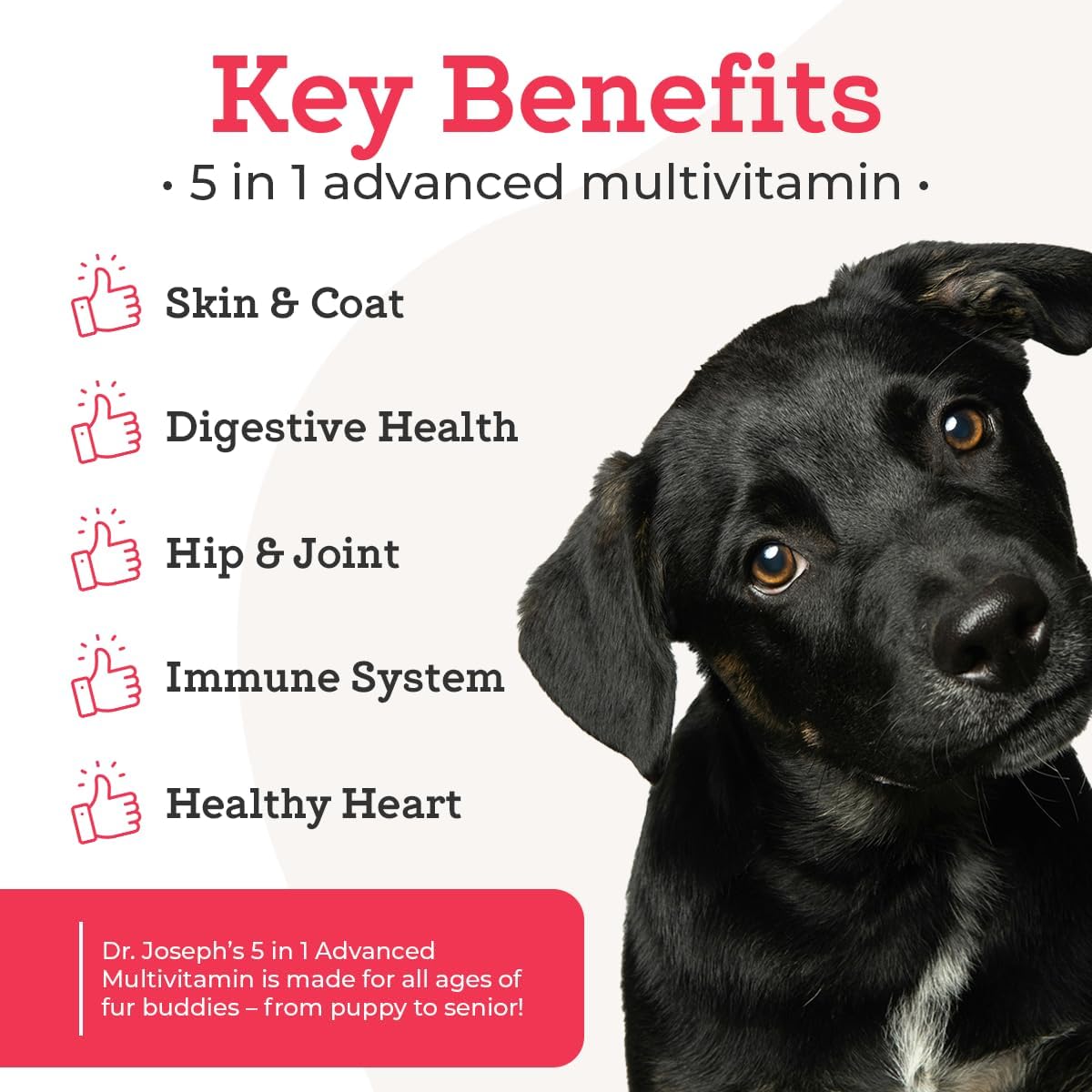 Dr. Joseph's VetPro Complete Multivitamin for Dogs – 120 Chews (Large Breed 60-Day Supply) - görsel 3