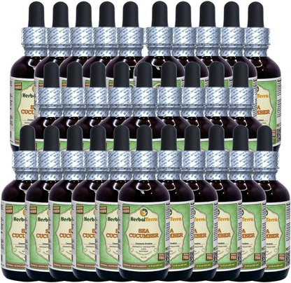 Sea Cucumber (Cucumaria Frondosa) Glycerite, Dried Sea Cucumber Alcohol-Free Liquid Extract 60ml