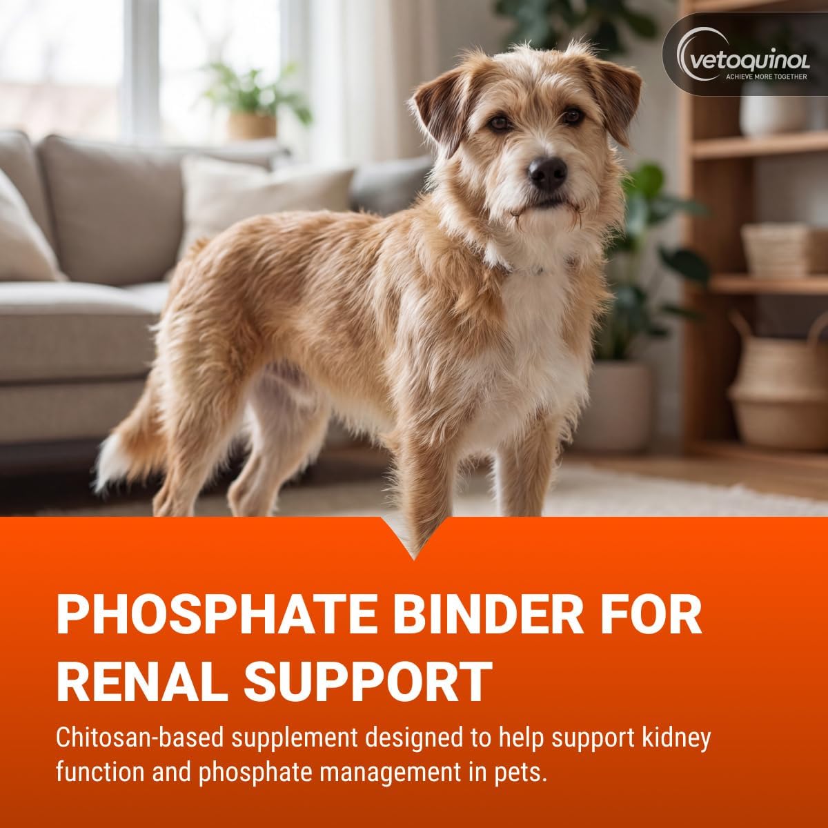 Vetoquinol Epakitin Chitosan-Based Phosphate Binder for Cats & Dogs – Renal Support Supplement Powder, 300g - görsel 2