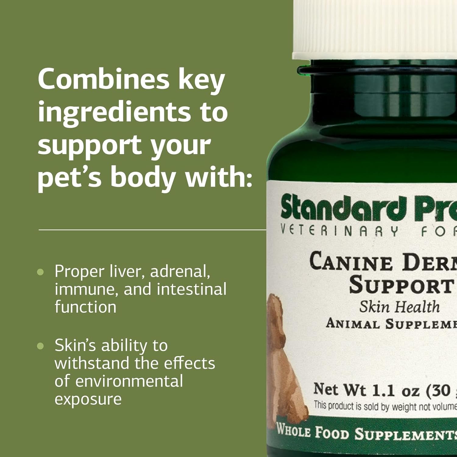 Standard Process Canine Dermal Support – Skin & Adrenal Support Supplement for Dogs – 30 g Powder - görsel 4