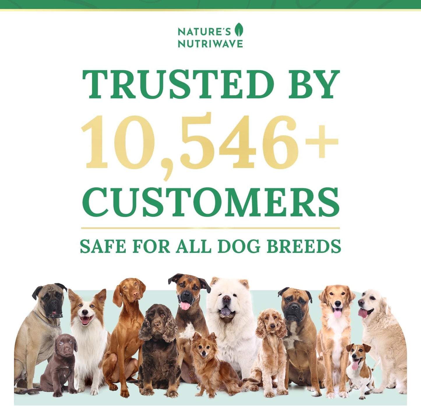 Pawbiotix Liquid Probiotics for Dogs – 30ml, 6 Month Supply | Natural Digestive Support - görsel 4