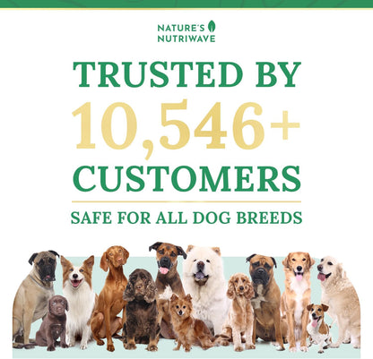 Pawbiotix Liquid Probiotics for Dogs – 1 fl oz (30 ml, 3-Month Supply)