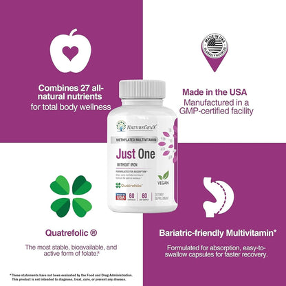 NatureGenX Just One Daily Methylated Multivitamin – Iron-Free with Methyl B12 & Methylfolate – Methylation Support for Men & Women – Vegan, Gluten-Free, Non-GMO – 60 Capsules (2-Month Supply)