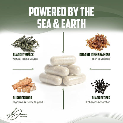 Alex Jones Ultimate Sea Moss Capsules – Vegan, Non-GM Seaweed Supplement with Bladderwrack and Burdock Root (60 Capsules)