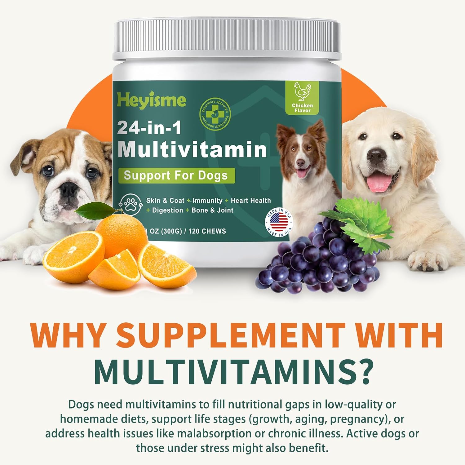 HEYISME Dog Multivitamin with Glucosamine, Probiotics & Omega-3 (120 Chews, Chicken) - görsel 7