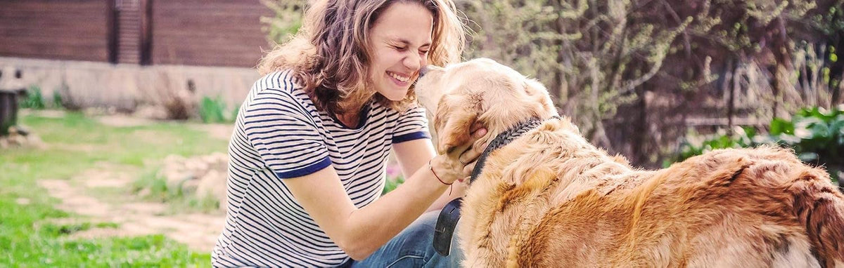 K9 Immunity Plus, Immune Support for Dogs Over 31 kg (70 lbs), Organic and Mushroom Enhanced, Pack of 2, 90 Chews - görsel 3